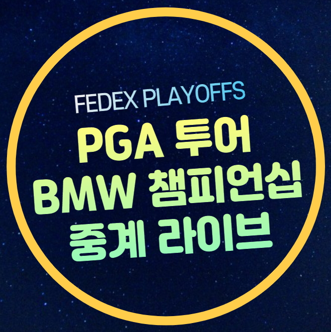 임성재 <b>김시우</b> 안병훈... 역대우승 <b>pga 플레이오프</b> 투어... 