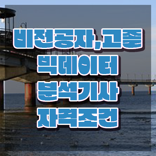  빅데이터 분석 기사취업 빅데이터분석기사 취득자격 집에서 온라인으로 편하게 성공한 과정