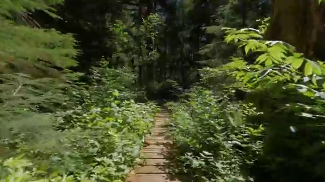  수산물품질관리사 자격증 , 활용방법