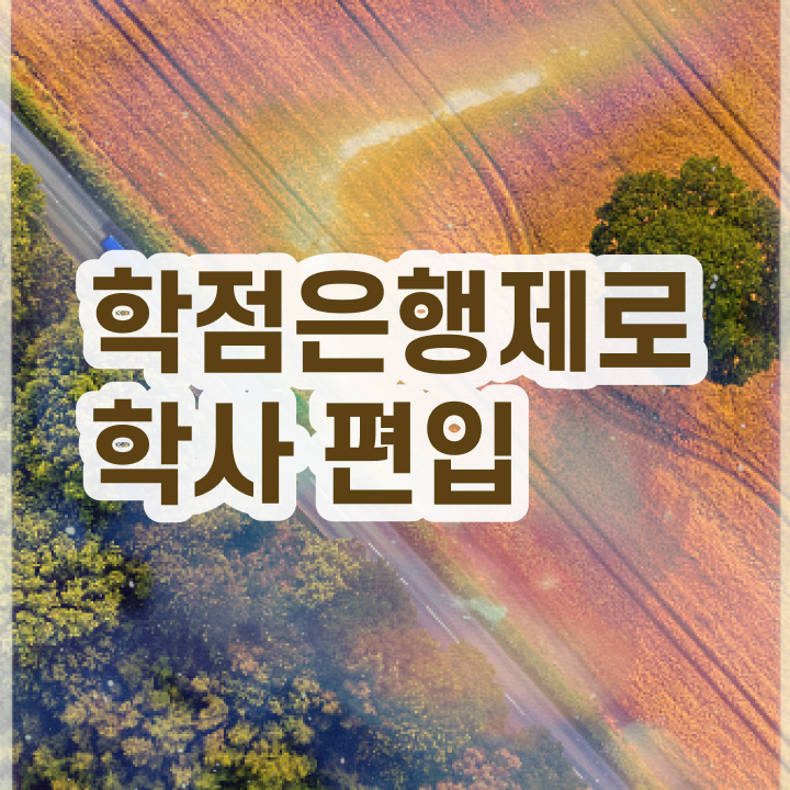 학점은행제 자격증 , 전문학습멘토 이 항목만 확실하게 결정하세요