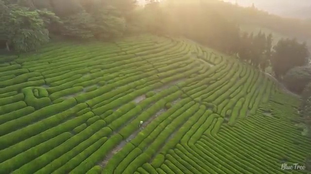 수산물품질관리원 자격증 , 합격률과 난이도