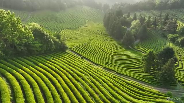  수산물품질관리원 자격증 , 준비한 방법