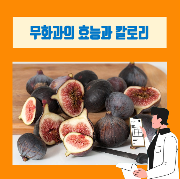  [이학박사] 무화과 칼로리와 효능