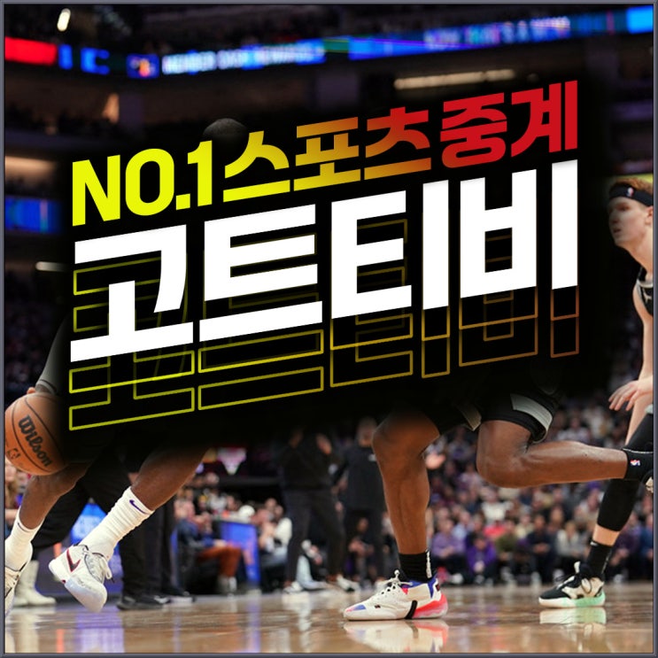 2024<b>프로농구</b>순위 <b>선수</b> 연봉 변화와 전략 분석
