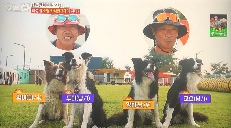 사진 2