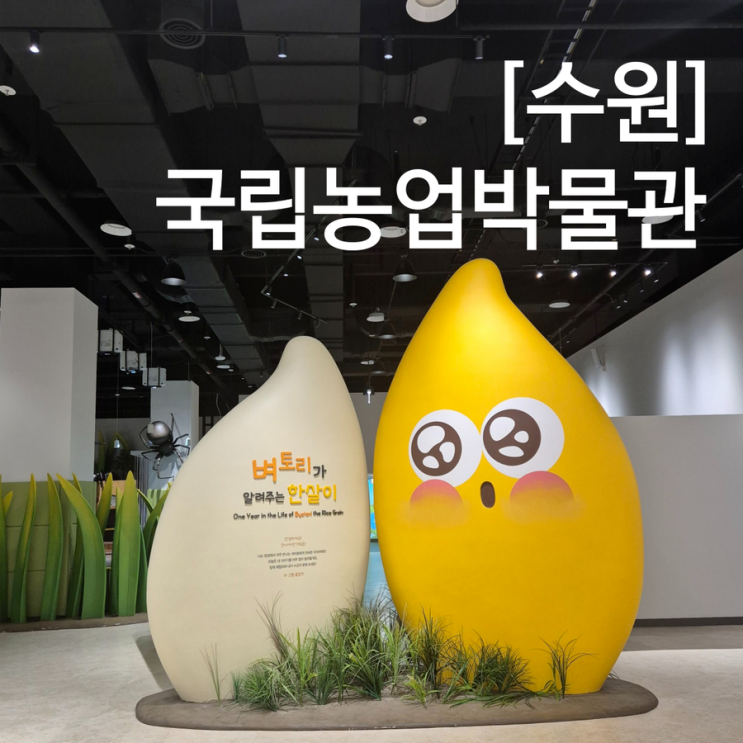  수원 국립농업박물관 어린이박물관 아이와 실내 체험 예약 꿀팁