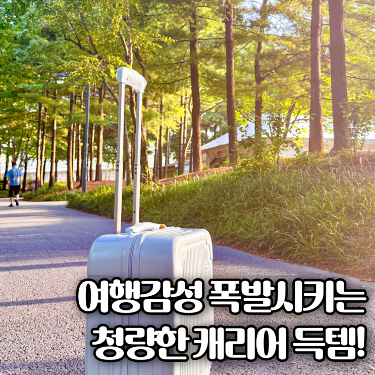  여행용 캐리어 후기ㅣ커플, 어린이에게 추천하는 소형 기내 캐리어 세트 추천