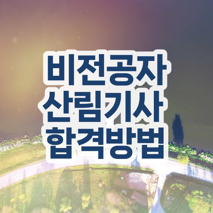  산림 기사필기 산림기사 응시조건 집에서 온라인으로 4달 안에 완료한 비법