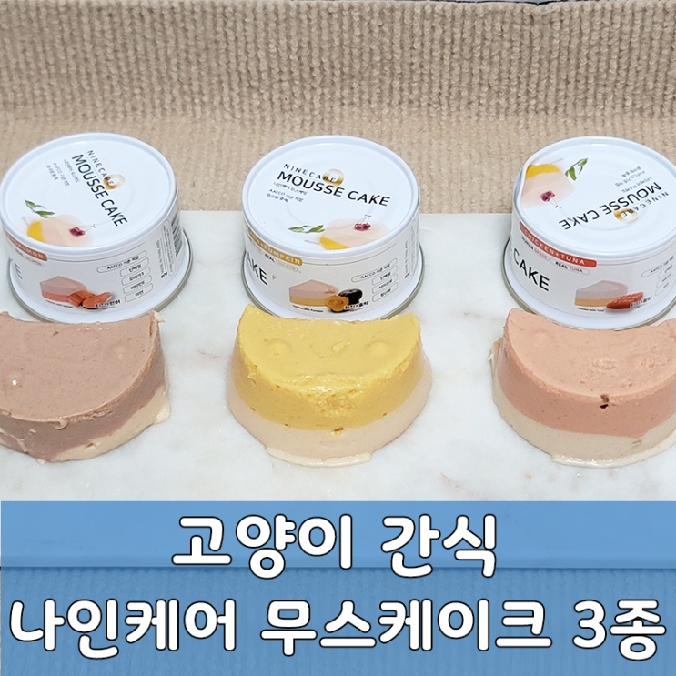  영양과 기호성 모두 잡은 고양이 간식, 나인케어 무스케이크