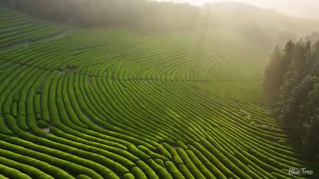  인터넷 결합 , 고민중이라면 공식인증 대리점 이 정리해서 한번에 알려드릴께요.
