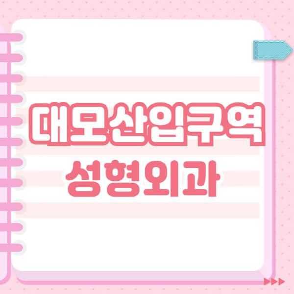  대모산입구역 성형외과 블랙리스트 및 잘하는 곳 추천, 후기 및 정보 총정리
