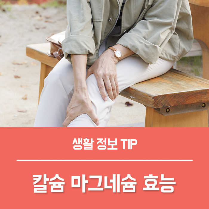  칼슘 마그네슘 효능 선택 기준은?
