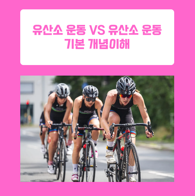  무산소 운동 vs 유산소 운동: 차이점과 상황별 맞춤 운동법