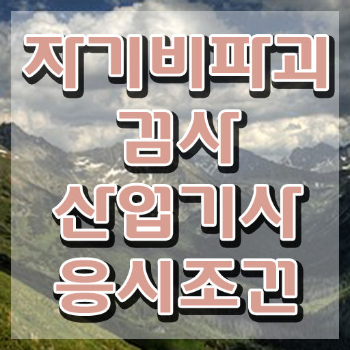  자기비파괴검사산업기사 자격조건 자기비파괴검사산업기사 시험응시자격 온라인으로 쉽고 빠르게 완료한 비법