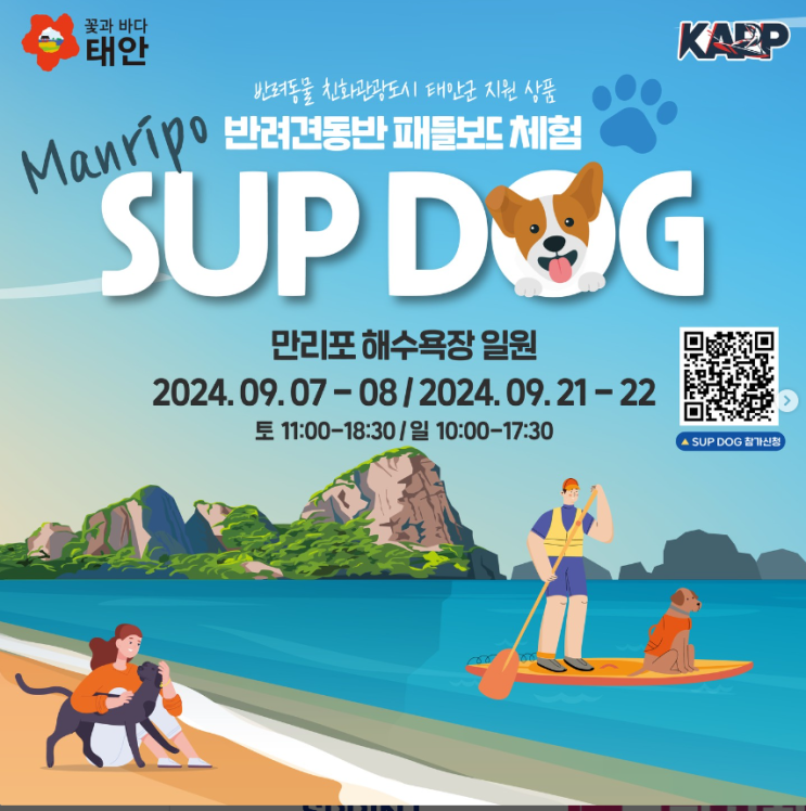  sup dog 반려견 패들보드 만리포 해수욕장 태안군