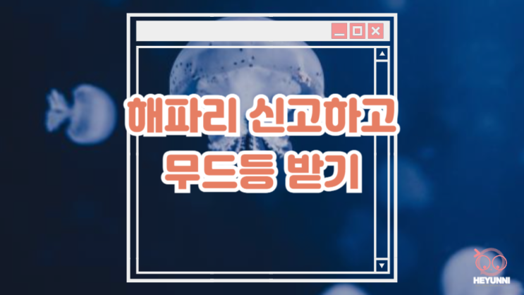  해파리 신고하고 해파리 무드등 받는 방법 :: 해파리웹 신고