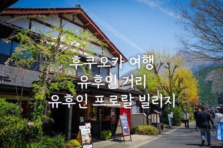  후쿠오카 여행 유후인 유노츠보 거리  스누피차야 유후인 플로랄빌리지