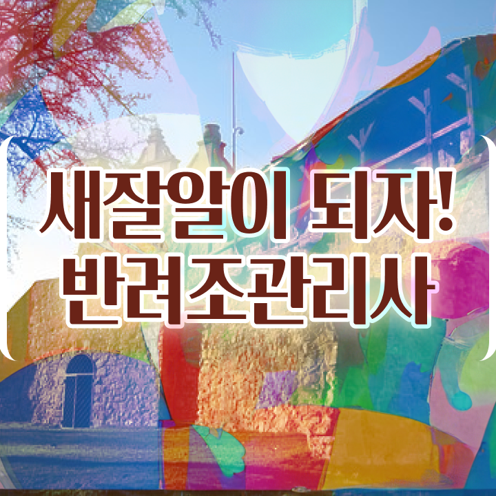  말하는앵무새키우기 , 반려조관리사 자격증 온라인으로 간단히 합격한 전략 , 향후 전망