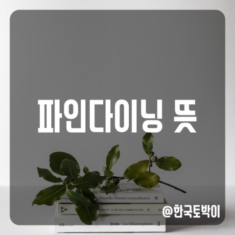  파인다이닝 뜻(fine dining)