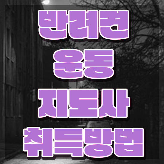  서울 강아지 운동장 반려견운동지도사 직장인도 쉽게 취득 노하우