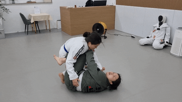  [240813,14,21] 주짓수 241,2,3회(일상,칼라슬리브, 몸상태메롱)