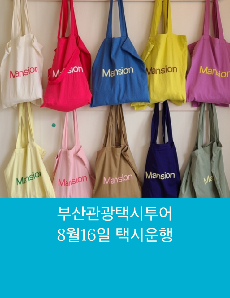  부산택시투어 일본인 K드라마 가족여행