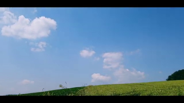  돈버는 게임어플 , 솔직 후기 알아볼까요
