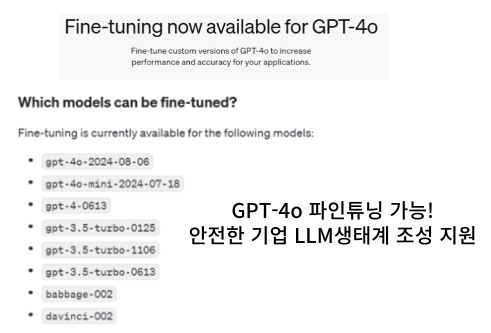  [IT뉴스8월21일]GPT-4o파인튜닝 지원,티메프1.6조 지원,저궤도위성 경쟁,전고체배터리