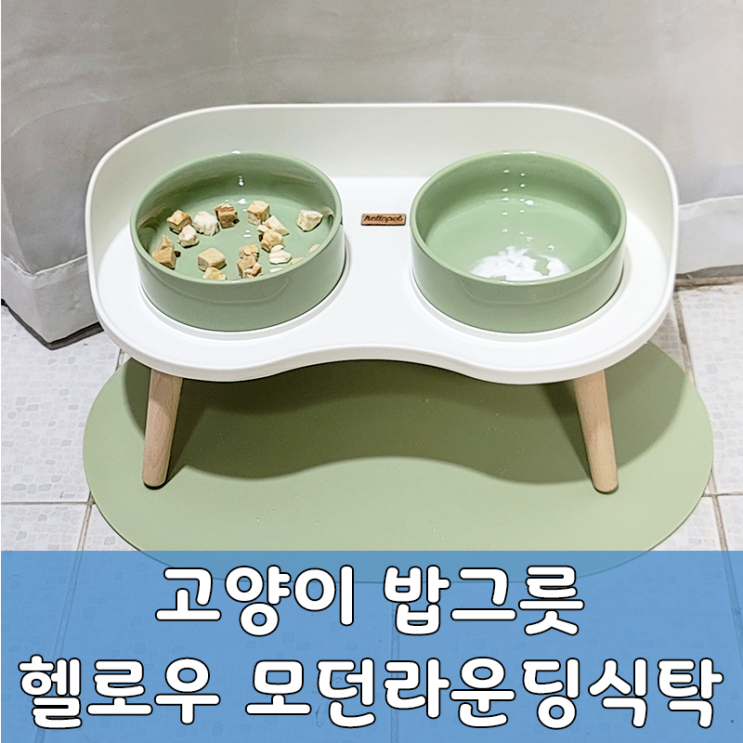 고양이밥그릇 고민 끝! 헬로우펫 도자기그릇 모던라운딩식탁