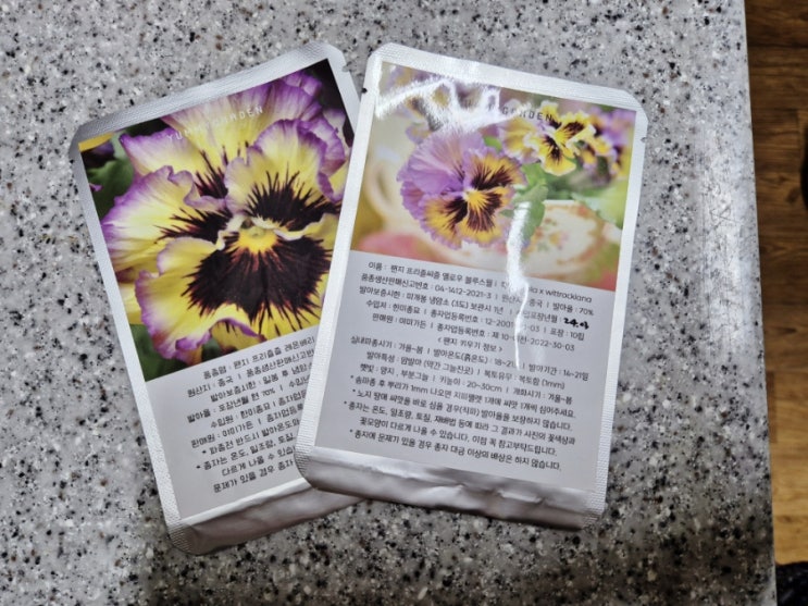  팬지 비올라 파종하기. 프리즐씨즐 옐로우블루스월, 레몬베리