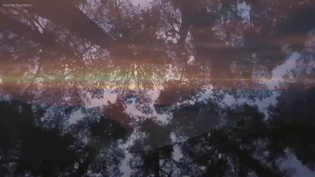  수산물품질관리원 자격증 , 취득 정보