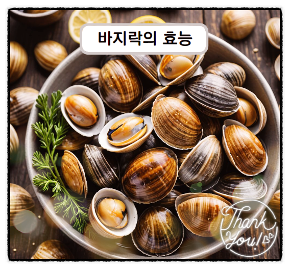  바지락 효능 해감 고르는 법
