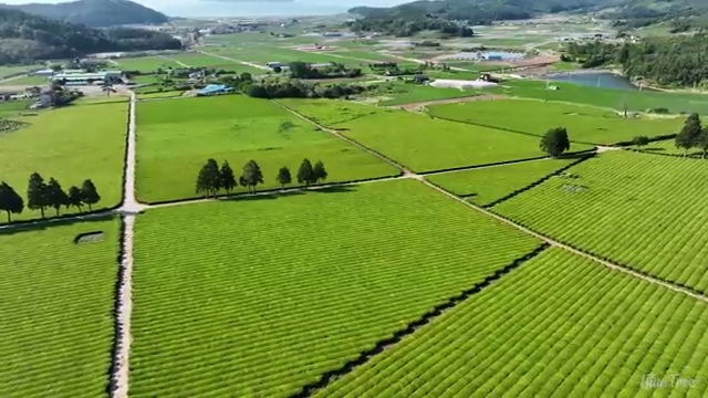  수산물 품질관리사 자격증 , 합격 후기