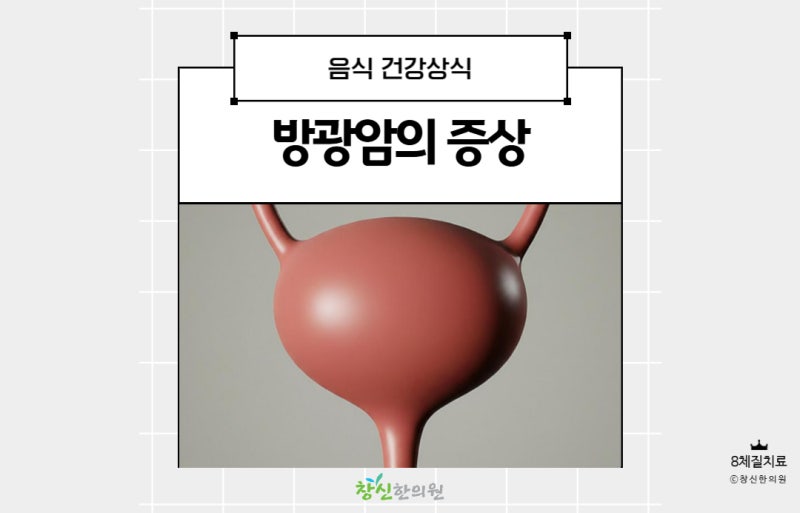 방광암에 좋은 음식 추천 5가지