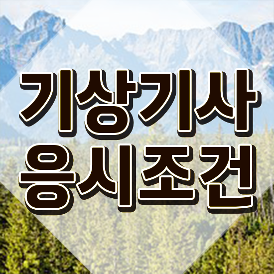  기상기사 기간 기상기사 시험응시조건 집에서 온라인으로 4달 안에 성공한 노하우