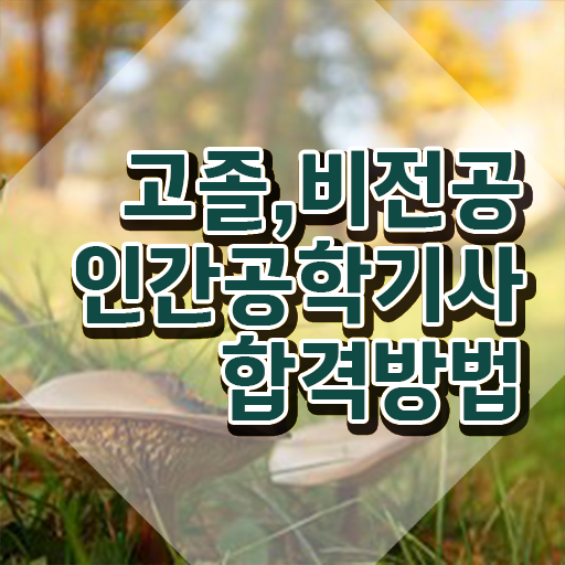  인간공학기사 자격 인간공학기사 자격요건 독학으로 빠르게 성공한 비법