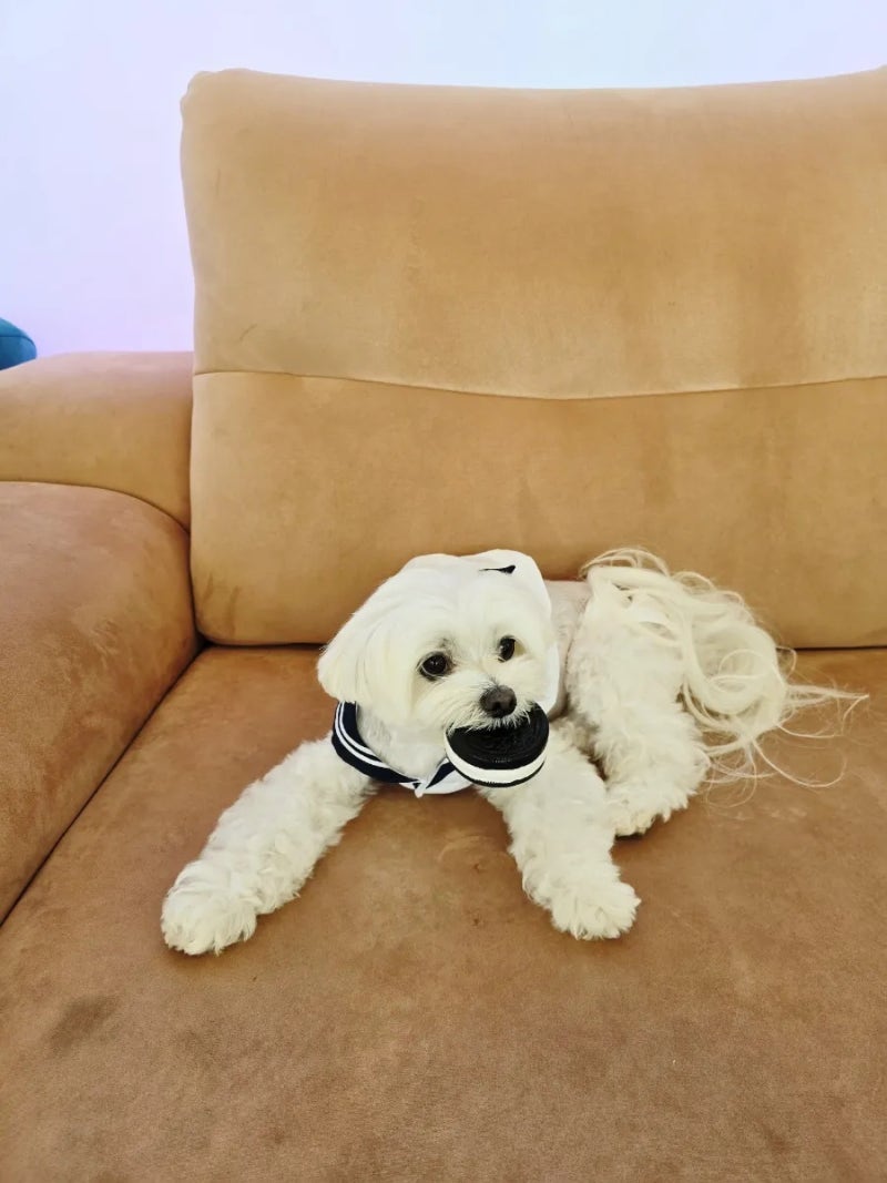 사진 3