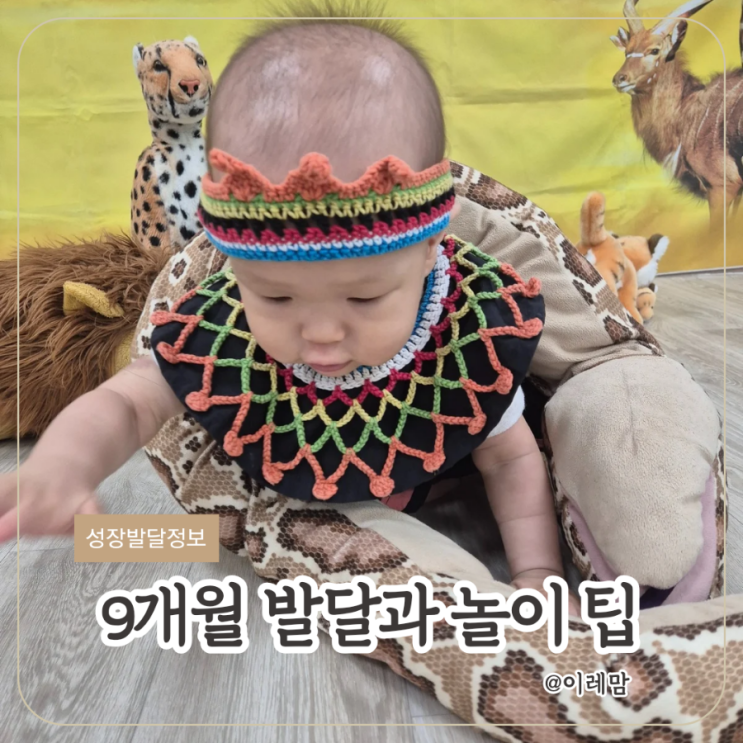  9개월 아기 발달과 놀이