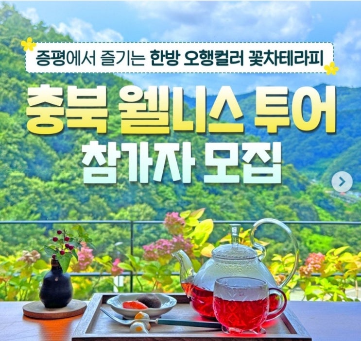  충북 증평군_ 웰니스투어_참가자 혜택_지원금