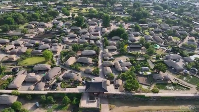  10세 정보