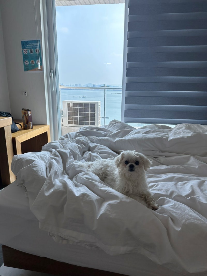 사진 7