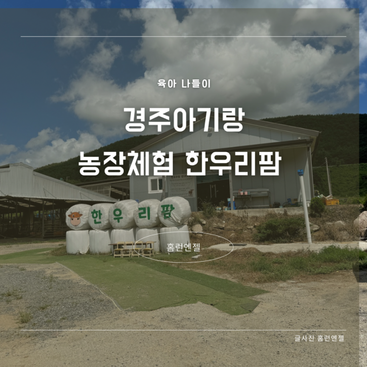  경주 아이와 가볼만한곳 실내 피자 체험 한우리팜 체험농장