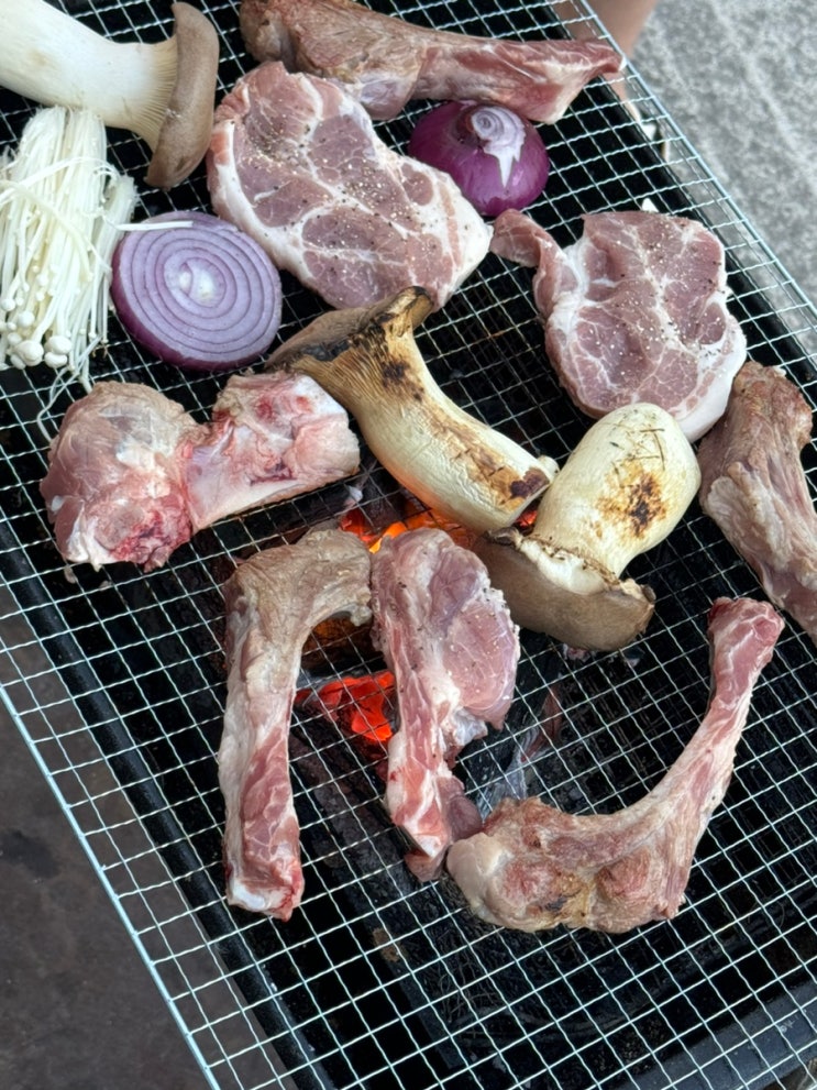  남해 여름 2박3일 가족여행 몰아보기
