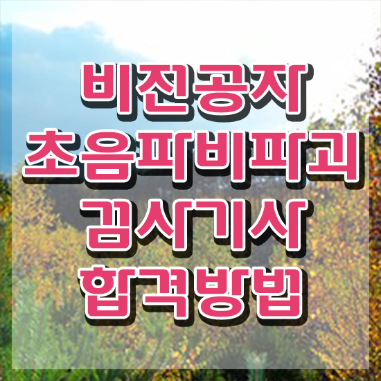  초음파비파괴검사기사 시험자격 독학으로 4달만에 성공한 후기