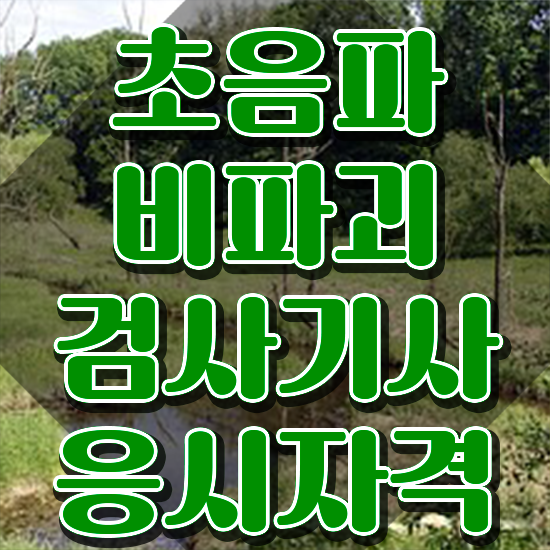  초음파비파괴검사기사 시험응시조건 독학으로 간편하게 완료한 과정