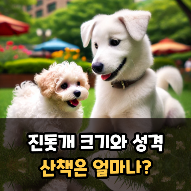  진돗개 크기와 성격, 산책은 얼마나?