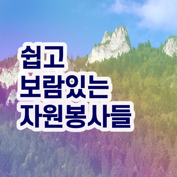  자원봉사지도사 시험과목 , 자원봉사지도사 자격증 20일 만에 합격정보 총 정리