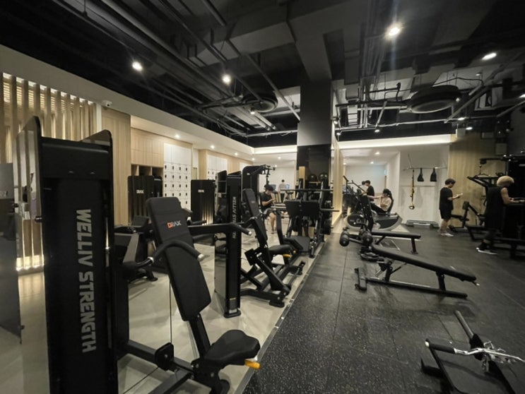  삼전동 헬스장 직장인 PT로 시작한 위스테이휘트니스 PT 삼전점