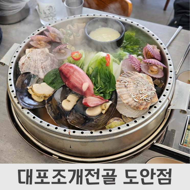  대전 도안동 맛집, 푸짐한 해산물의 향연 대포조개전골 도안점