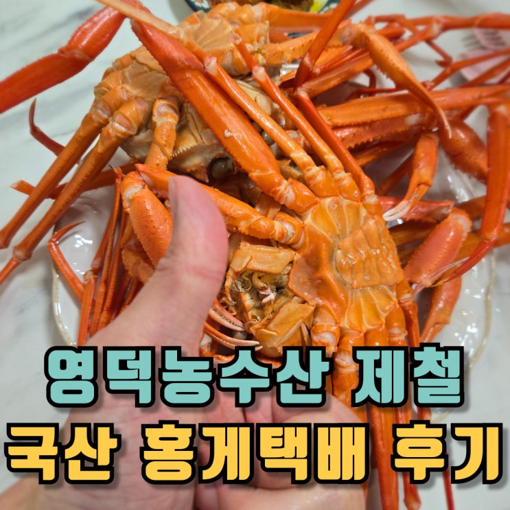  영덕농수산 제철 국산 홍게택배